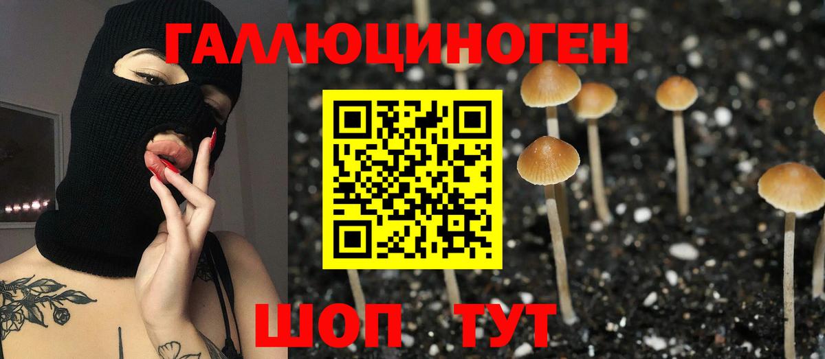 Верхняя Салда  Галлюциногенные грибы Psilocybine cubensis  Вход с VPN 