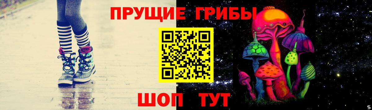 Псилоцибиновые грибы мицелий Верхняя Салда